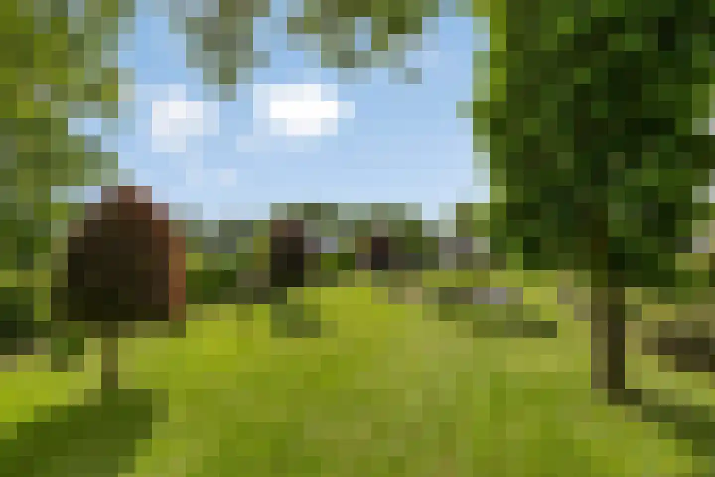Koenraadtweg 14 Maarheeze thumbnail 50