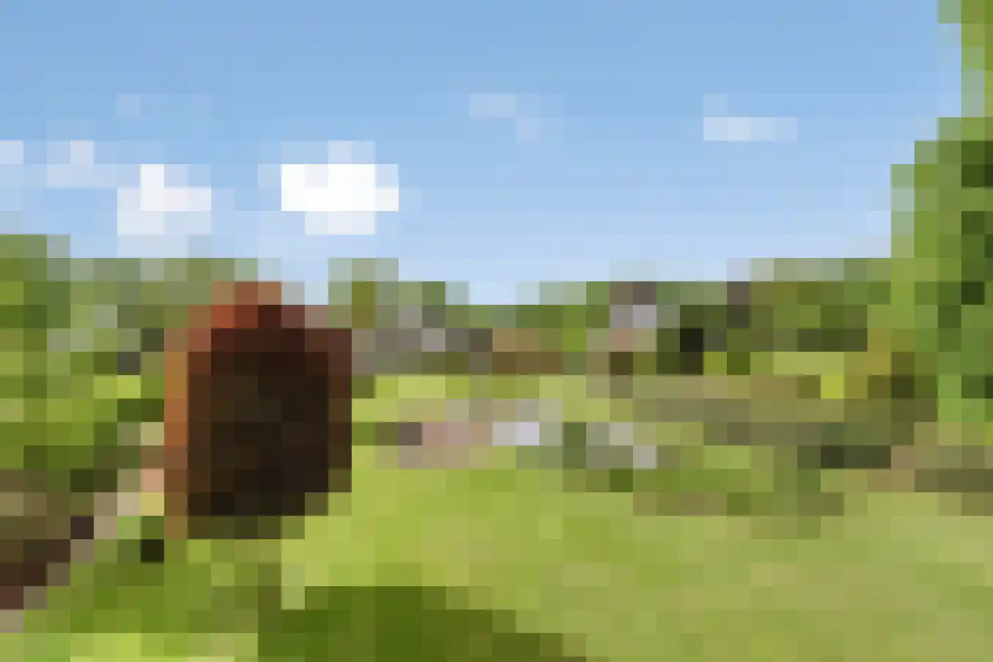 Koenraadtweg 14 Maarheeze thumbnail 51