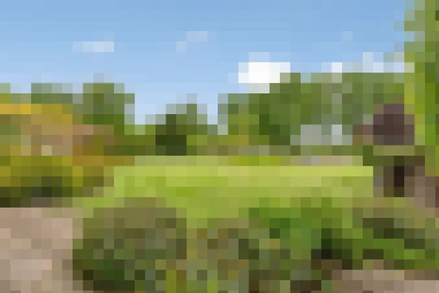 Koenraadtweg 14 Maarheeze thumbnail 52