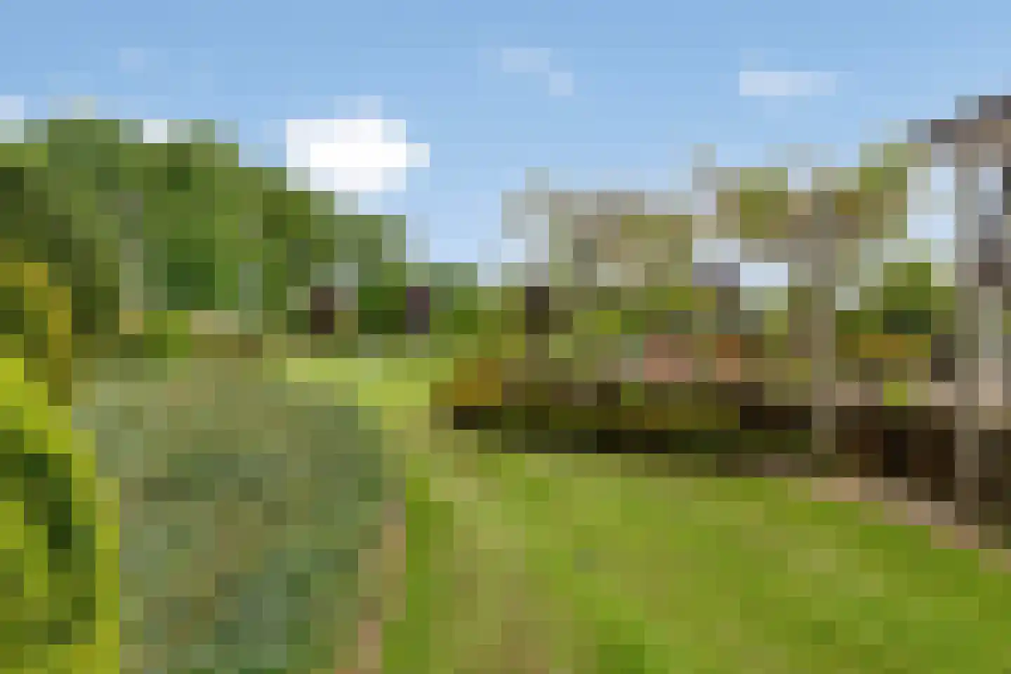 Koenraadtweg 14 Maarheeze thumbnail 54