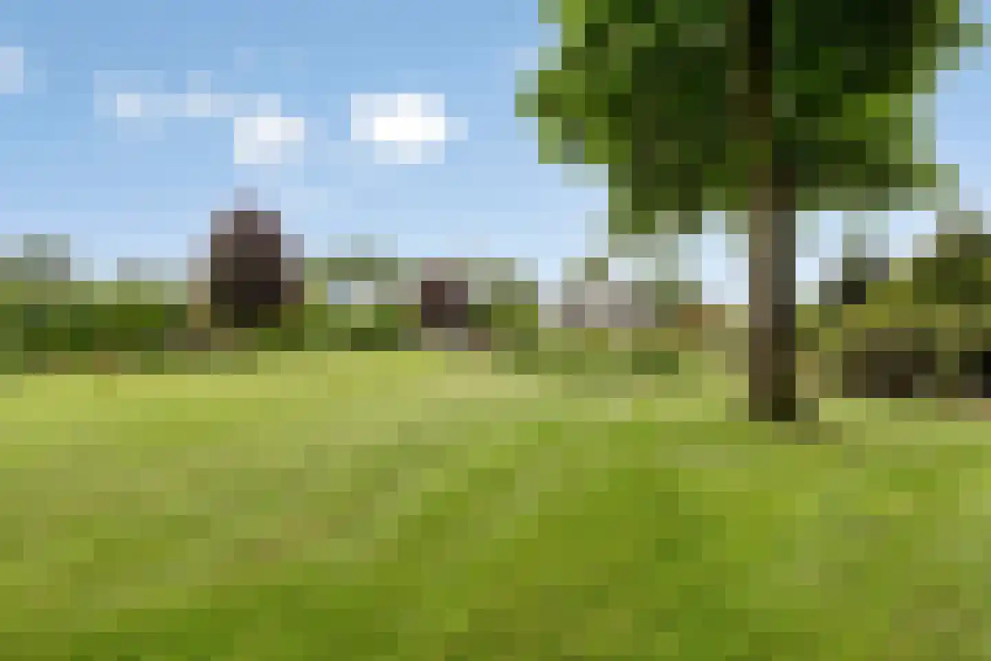 Koenraadtweg 14 Maarheeze thumbnail 56