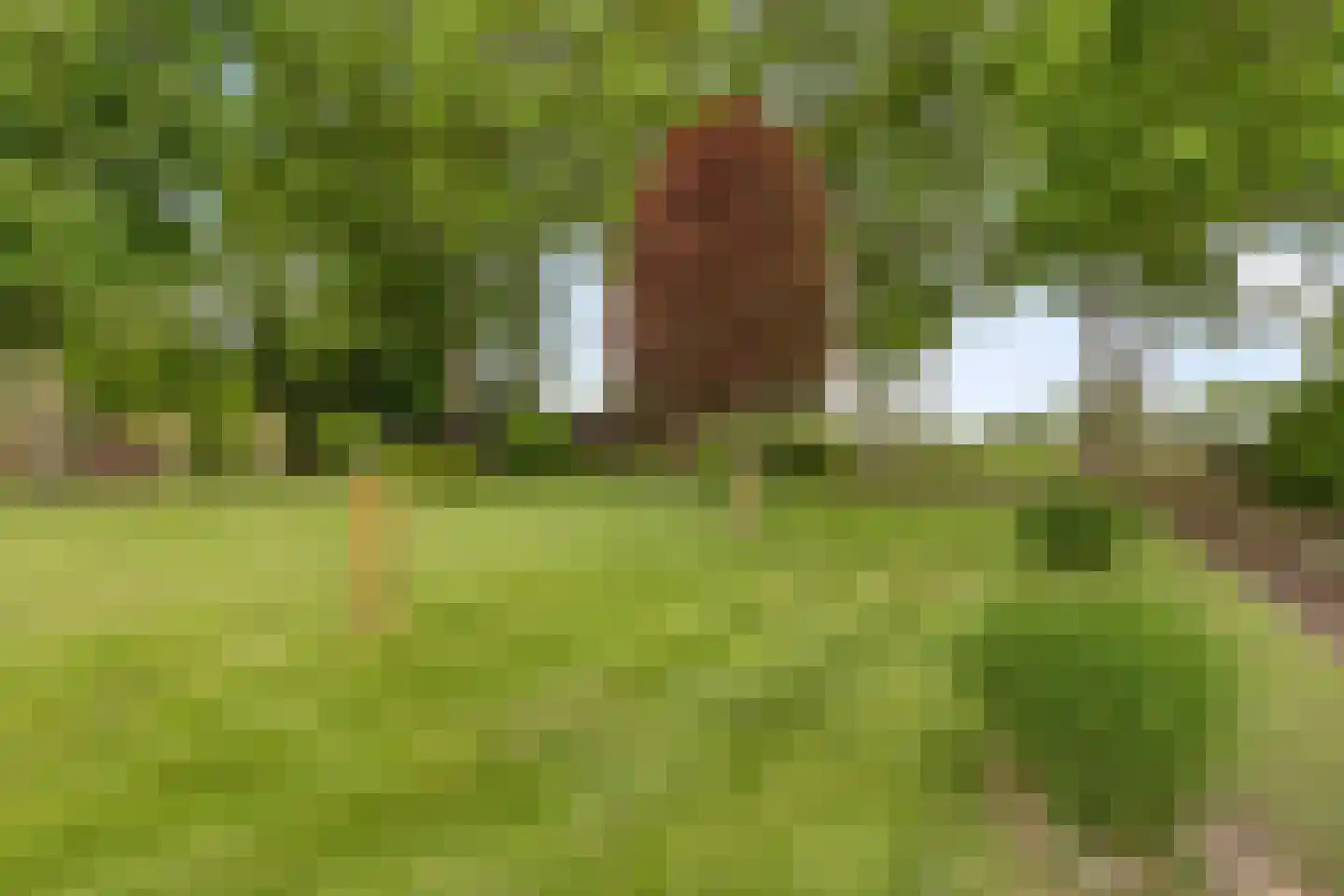 Koenraadtweg 14 Maarheeze thumbnail 57