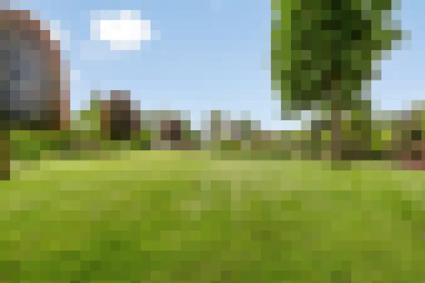 Koenraadtweg 14 Maarheeze thumbnail 58