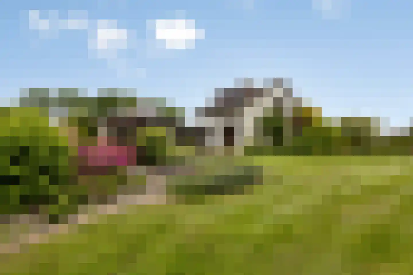 Koenraadtweg 14 Maarheeze thumbnail 6
