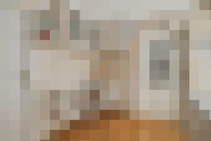 Koepel 1 Middelburg thumbnail 10