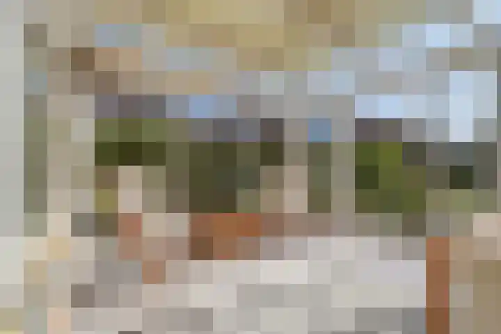 Koepel 1 Middelburg thumbnail 11
