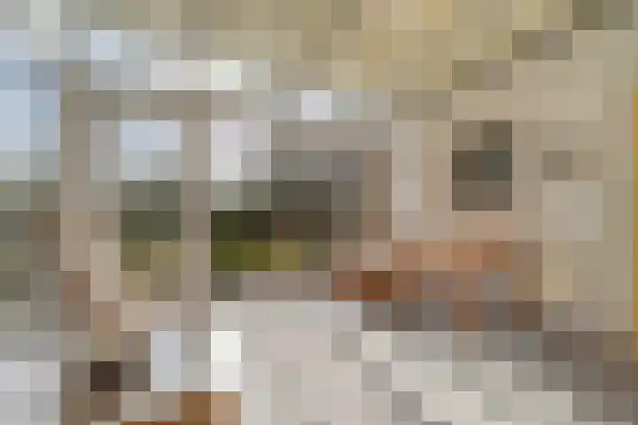 Koepel 1 Middelburg thumbnail 12