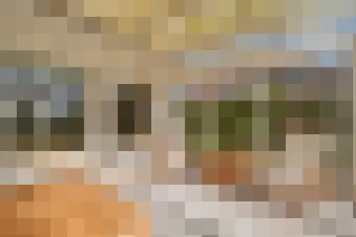 Koepel 1 Middelburg thumbnail 13