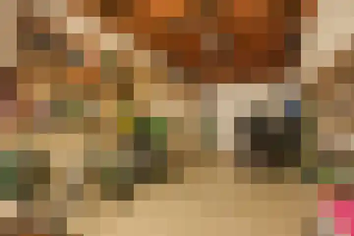 Koepel 1 Middelburg thumbnail 15
