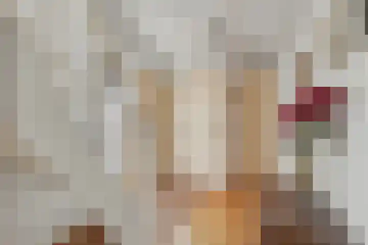 Koepel 1 Middelburg thumbnail 17