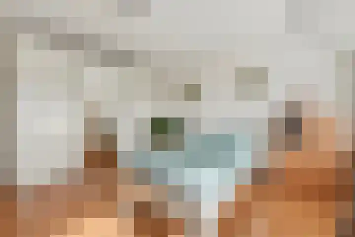 Koepel 1 Middelburg thumbnail 23