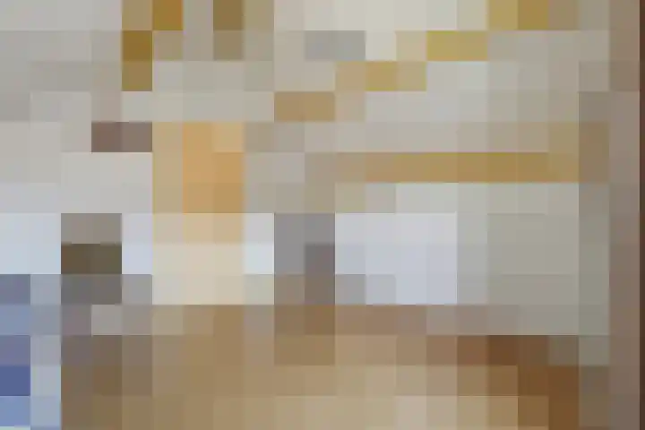 Koepel 1 Middelburg thumbnail 30