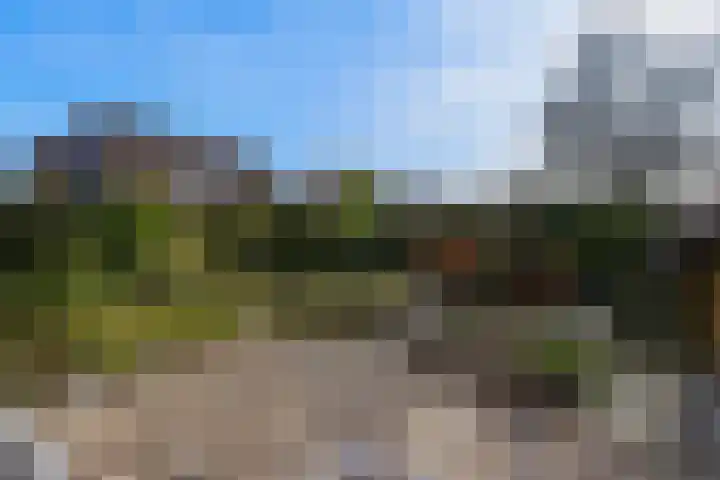 Koepel 1 Middelburg thumbnail 33
