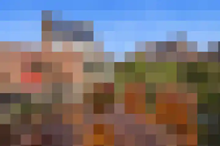 Koepel 1 Middelburg thumbnail 34