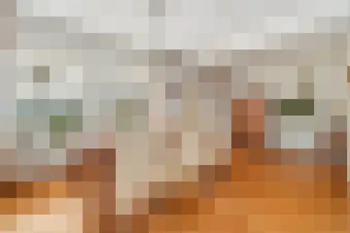 Koepel 1 Middelburg thumbnail 6