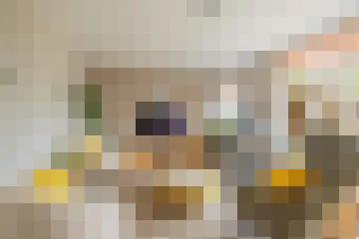 Koepel 15 Middelburg thumbnail 12