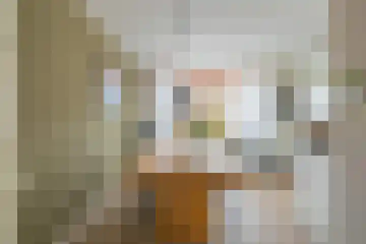 Koepel 15 Middelburg thumbnail 16