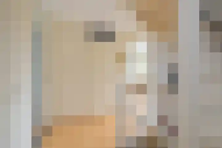 Koepel 15 Middelburg thumbnail 29