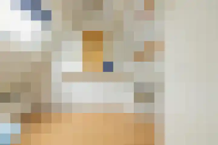 Koepel 15 Middelburg thumbnail 42
