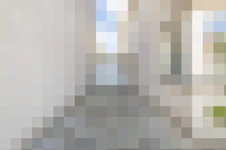 Koepel 15 Middelburg thumbnail 5