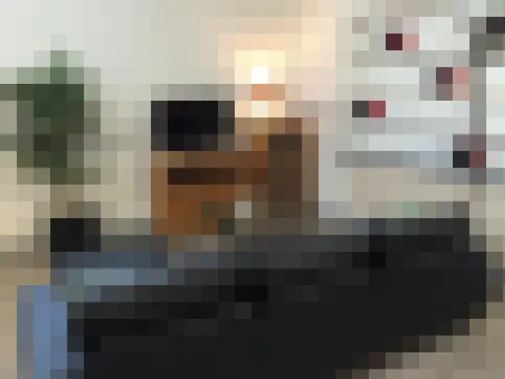 Koepeldwarsstraat 12 Bergen op Zoom thumbnail 4