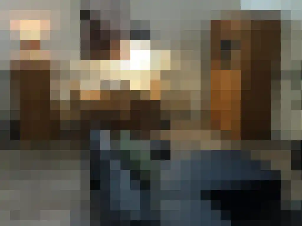 Koepeldwarsstraat 12 Bergen op Zoom thumbnail 5