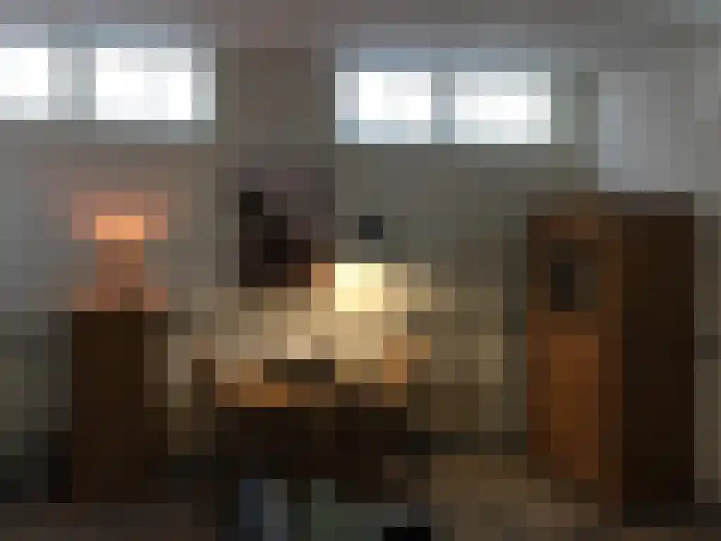 Koepeldwarsstraat 12 Bergen op Zoom thumbnail 6