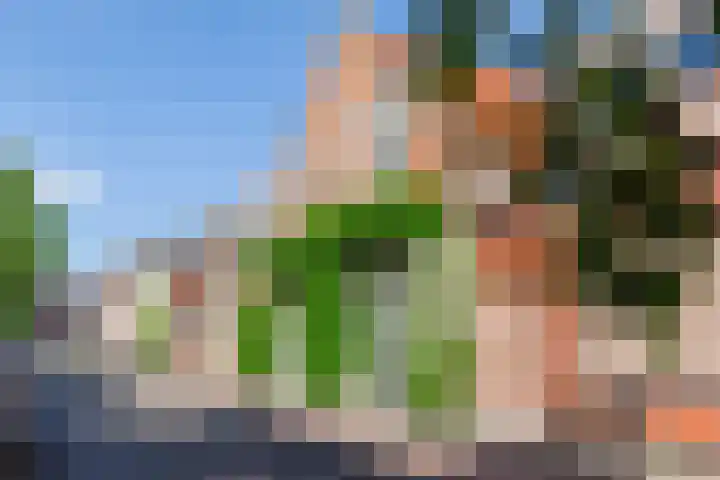 Koepeldwarsstraat 17 Bergen op Zoom thumbnail 10