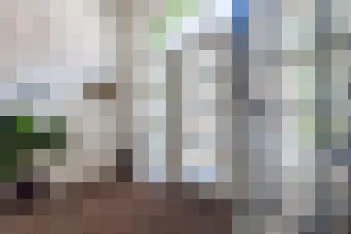 Koepeldwarsstraat 17 Bergen op Zoom thumbnail 29