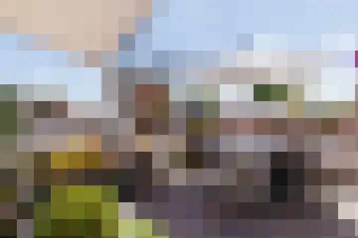 Koepeldwarsstraat 17 Bergen op Zoom thumbnail 4