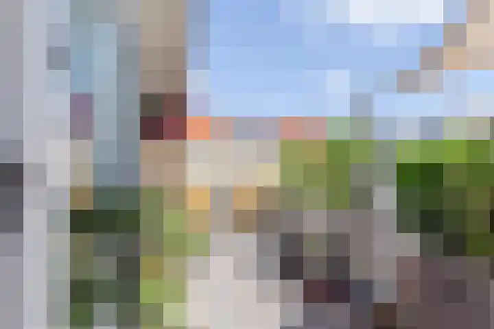 Koepeldwarsstraat 17 Bergen op Zoom thumbnail 64