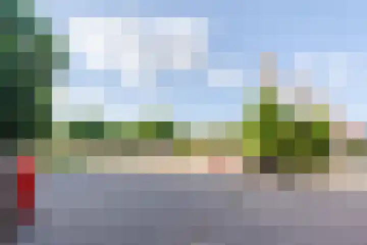 Koepeldwarsstraat 17 Bergen op Zoom thumbnail 68