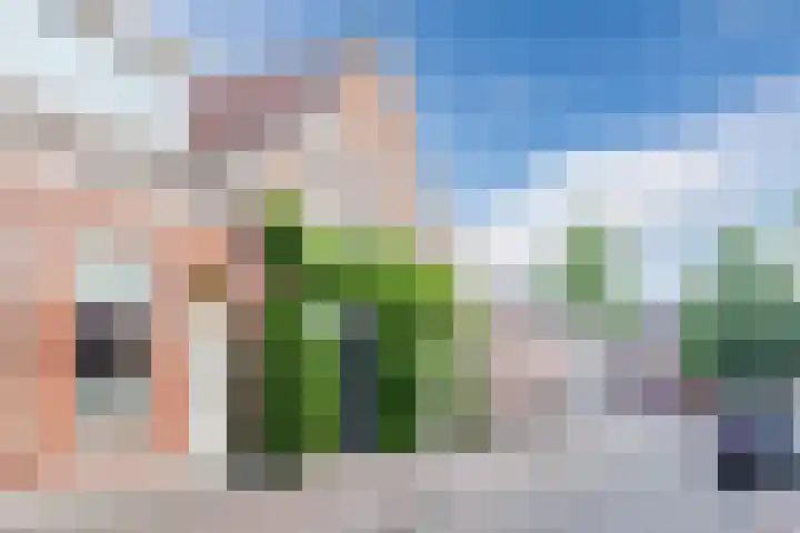 Koepeldwarsstraat 17 Bergen op Zoom thumbnail 7