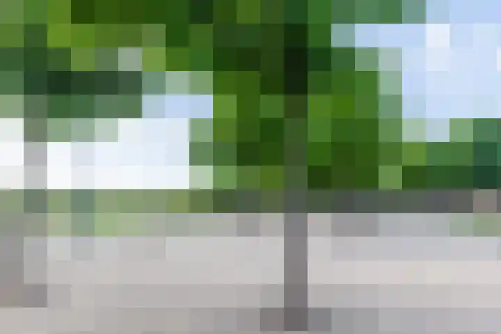 Koepeldwarsstraat 17 Bergen op Zoom thumbnail 72