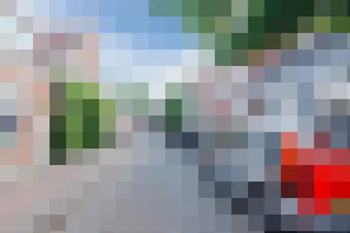 Koepeldwarsstraat 17 Bergen op Zoom thumbnail 8