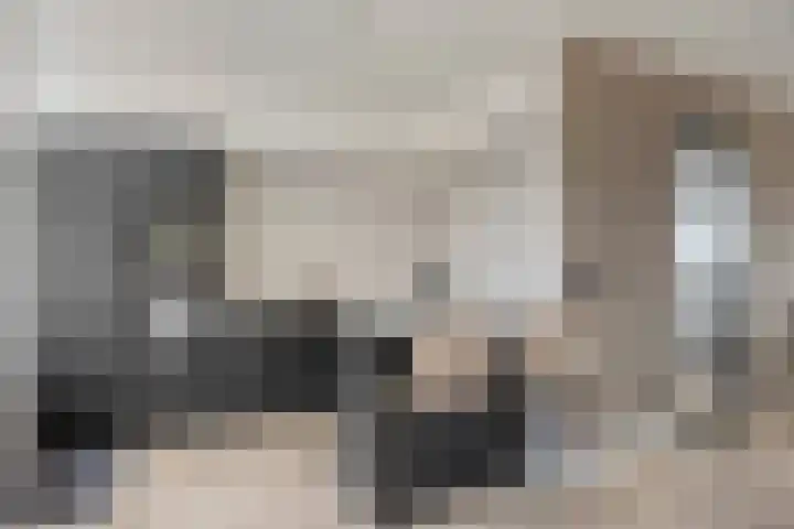Koepellaan 22 Scherpenzeel thumbnail 13