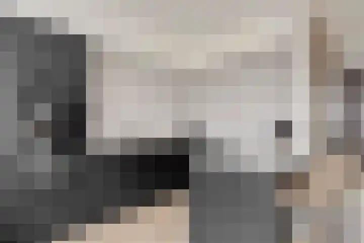 Koepellaan 22 Scherpenzeel thumbnail 14