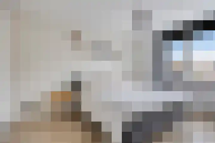 Koepellaan 22 Scherpenzeel thumbnail 20