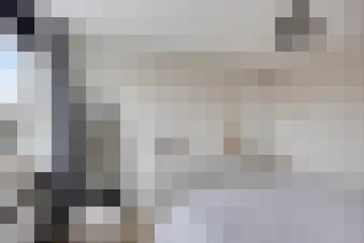 Koepellaan 22 Scherpenzeel thumbnail 22