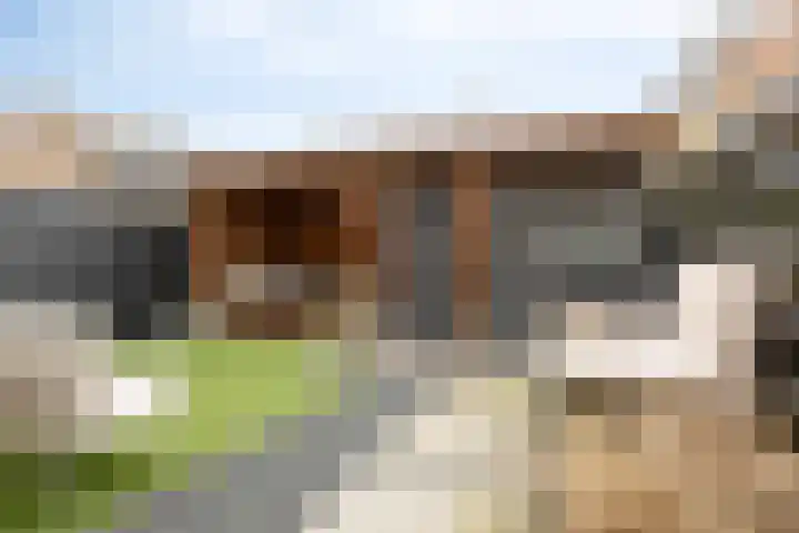 Koepellaan 22 Scherpenzeel foto 3