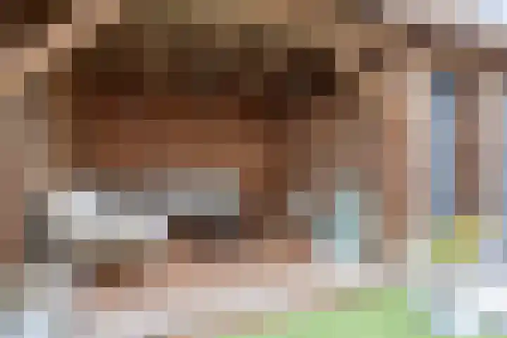 Koepellaan 22 Scherpenzeel thumbnail 33