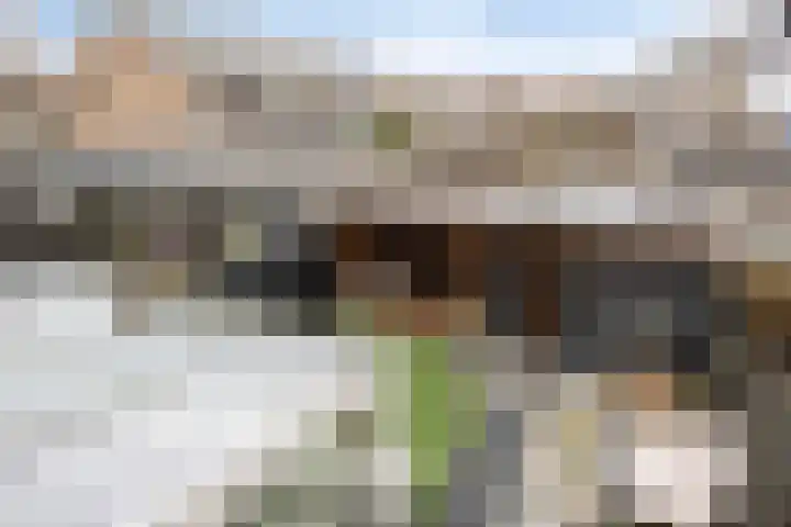 Koepellaan 22 Scherpenzeel thumbnail 37