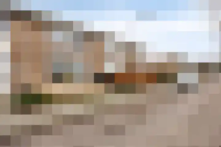 Koepellaan 22 Scherpenzeel thumbnail 38