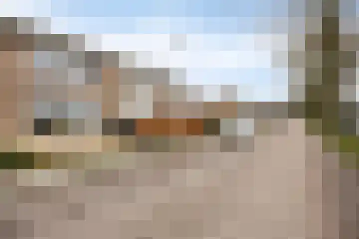 Koepellaan 22 Scherpenzeel thumbnail 39