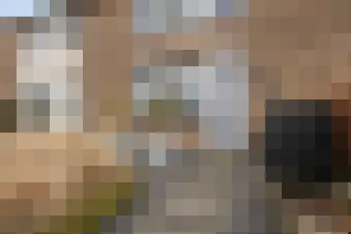 Koepellaan 22 Scherpenzeel thumbnail 40