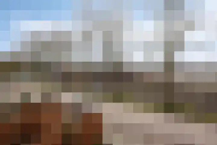 Koepellaan 22 Scherpenzeel thumbnail 41
