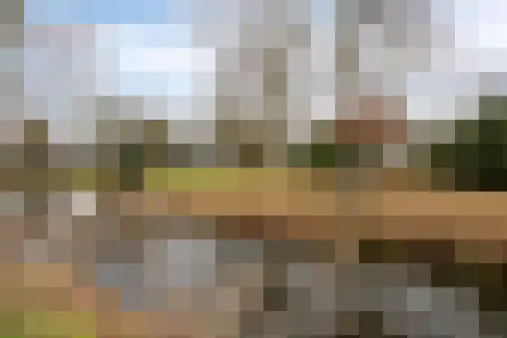 Koepellaan 22 Scherpenzeel thumbnail 42