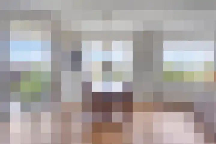 Koepeloven 16 Ulft thumbnail 16