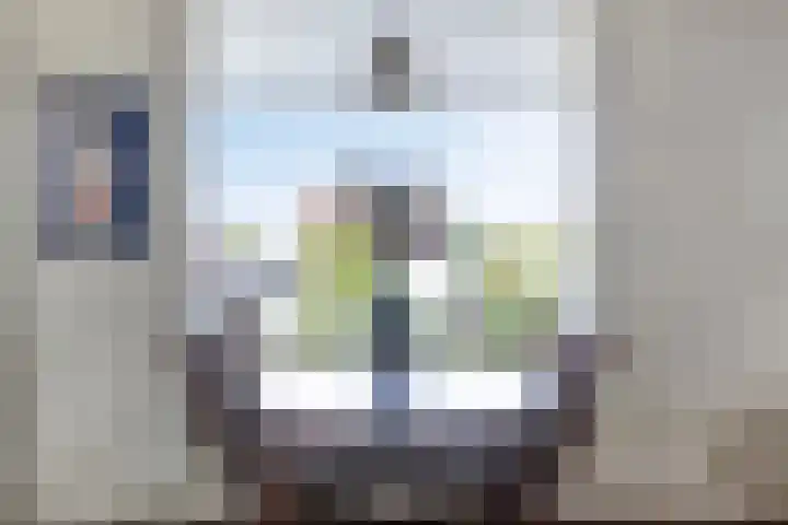 Koepeloven 16 Ulft thumbnail 17