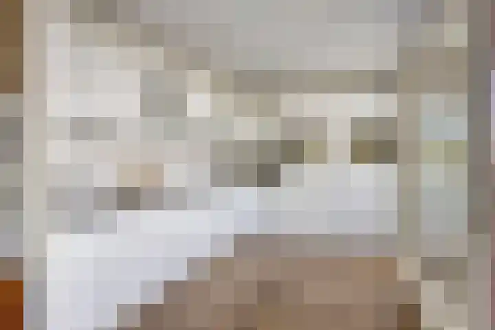 Koepeloven 16 Ulft thumbnail 18